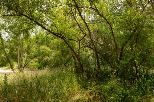 Landscape Texture Artwork