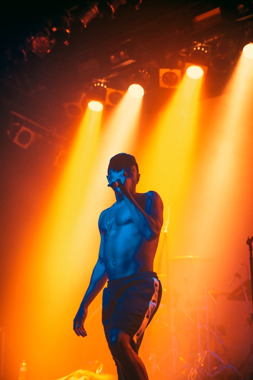 Westside Boogie Artist Concert Portrait